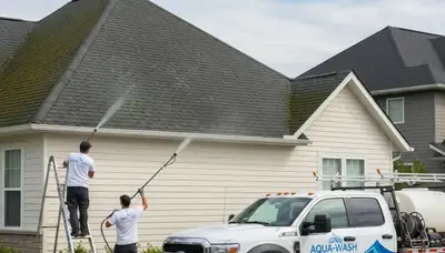 Professional roof cleaning service in Virginia Beach VA removing algae and mold buildup